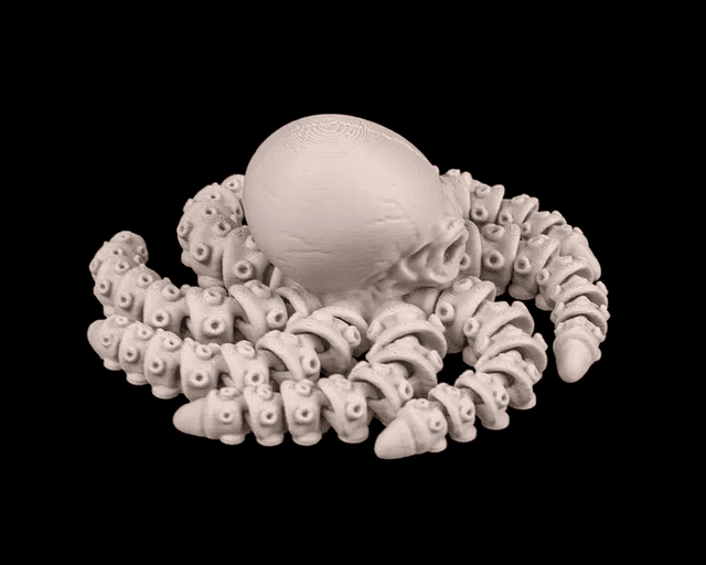 Skeleton Octopus - Image 1