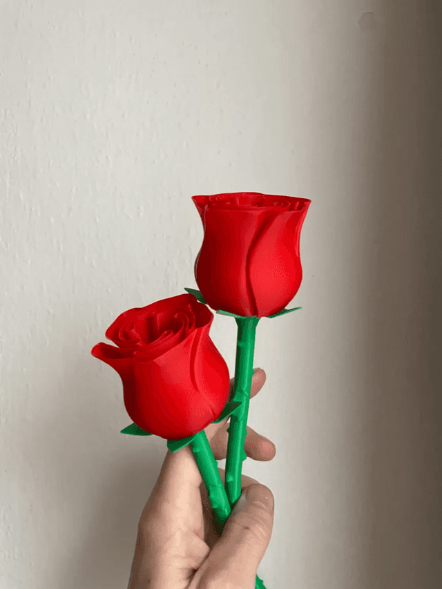 Beautiful Rose w Stem - International Woman’s Day - Image 5