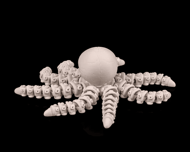 Skeleton Octopus - Image 3