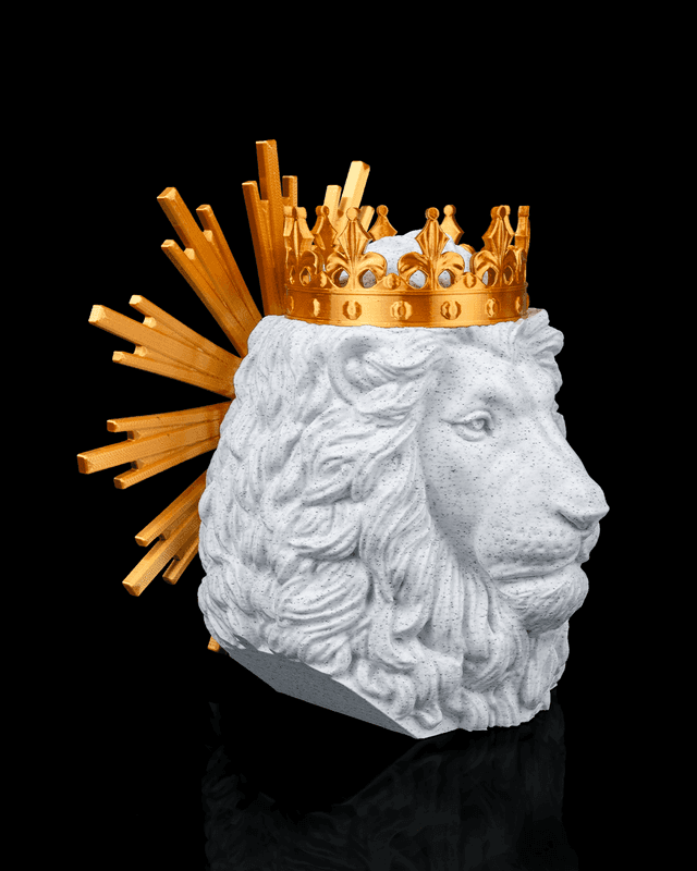 Lion of Judah - Image 2