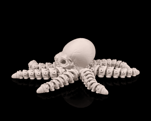 Skeleton Octopus - Image 2
